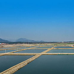 魚塘增氧控制器